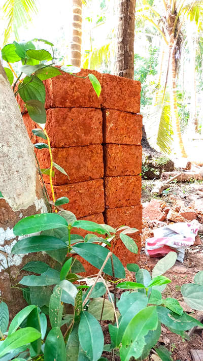 Kannur stone