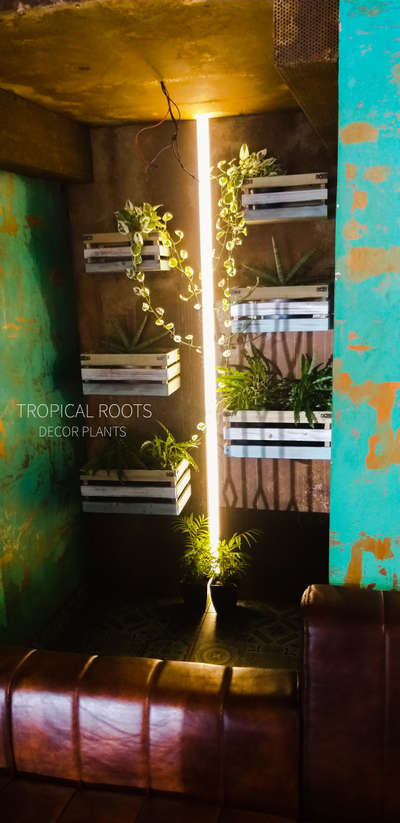 indoor vertical arrangement#tropical roots landscaping #client-Ramees restaurant, Wyte fort hotel Kochi.
