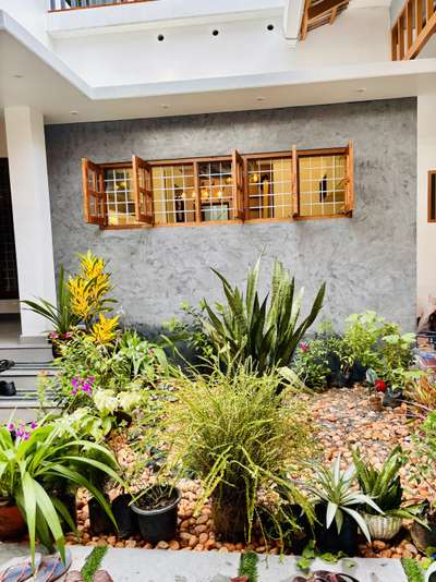 Plants gives a different look for home exterior decorations  #LandscapeIdeas  #LandscapeGarden  #LandscapeDesign  # #ContemporaryHouse  #exter_Work  #exterdesigns  #exter3D  #exteriordesing  #plantsarefriends  #plantstories  #plantsmakepeoplehappy