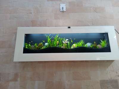 plasma aquarium
#Marvelaquasystem #marvelaquarium #plantedaquariummalayalam #GreenAqua #Aquarium #Aquascaping #Aquascape #NatureAquarium #PlantedTankmalayalam #Aquariumplants #Aquaticplants #aquascapingshop #Aquascapeforbeginners #Aquascapinghowto #aquariums #paludarium #nano #homedesign #homedecor #landscape #relaxation #wabikusa #jurjis #georgefarmerchillujalakam #ada #oliverknot #serpaedesigns #mayurdev #aquascaper