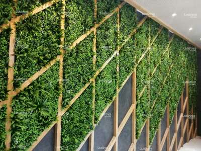 പ്ലാസ്റ്റിക്  ചുമര്‍ ചെടികള്‍  Artificial Wall Plants  
#greenwall #verticalgarden #interiordesign #livingwall #green #interior #design #plants #architecture #mosswall #nature #moss #homedecor #garden #greenwalls #biophilicdesign #flowerwall #biophilia #livingwalls  #mossart #planters  #greenplants #greeninterior #flowerwalls #landscape #greenoffice #artificialflowers