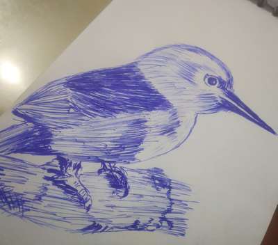 pen drawing