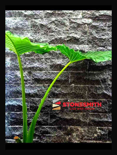# black rough #naturalstones  #stonesmith  #cladding  # nearleague house, Red cross road, calicut.   9061112277