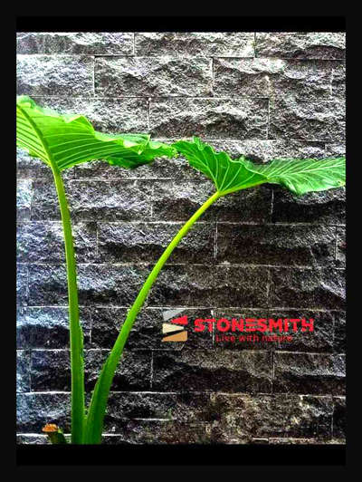 # black rough #naturalstones  #stonesmith  #cladding  # nearleague house, Red cross road, calicut.   9061112277