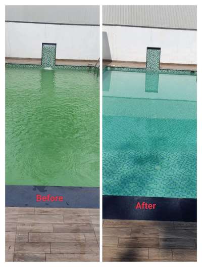 Pool  Cleaning and Maintenance  #swimming pool builders 
 #swimmingpool 
 # swimming contractor 
 #swimming pool life 
 #budget friendly 
 #swimming pool construction company 
 #swimming pool 
 #contact no. 8848801948