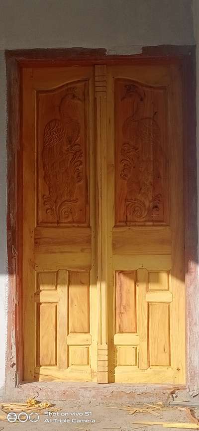 പ്ലാവ് double door