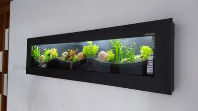 PLASMA AQUARIUM  #wallaquarium  #slim  #unique  #aquarium  #fishtank  #fish  #homeaquarium