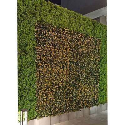 Artificial wall grass tiles. Design your wall with more creative ideas like this. No maintenance and high quality products guarantee.
Contact us for booking and enquiries. 🍃🌿🍁🍂 #bhopal #creativegardens #creativity #gardens #artificialcreepers #creepers #plannters #naturalgardens #nature #bestgardens #fountains #annudaycreativegardening #artificialgrass #artificialgrassexperts #bamboowork