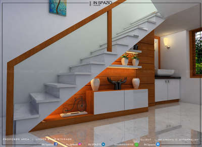 Under stair area storage design.