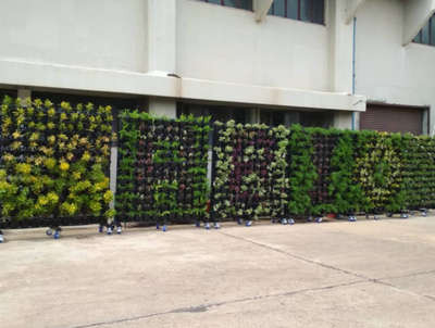 Vertical Gardenswith drip irrigation system.
Location - Reserve Bank Of India.

#verticalgardening #bhopal #creativegardens #creativity #gardens #plannters #naturalgardens #nature #bestgardens #fountains #annudaycreativegardenin