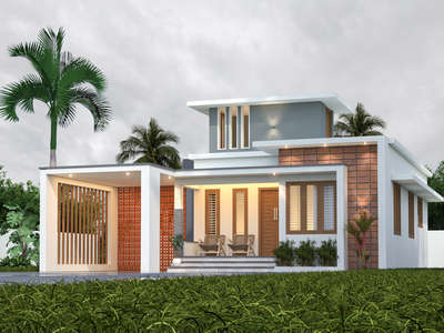 house elevation
 #ElevationHome