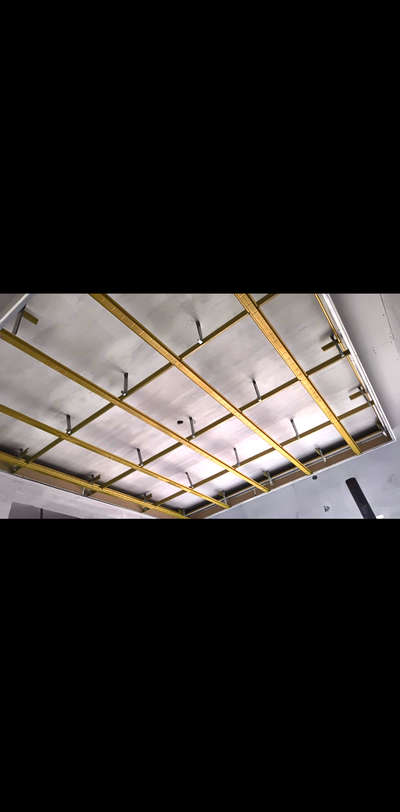 started a new project  @ Pathanamthitta, kodumon #### (Gypsum work) ####