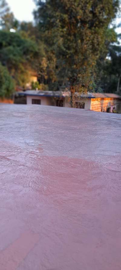 waterproofing
open terrace
place wayanad bathery
epoxy chemicals
old concrete terrace 
 #WaterProofings 
 #terracewaterproofing