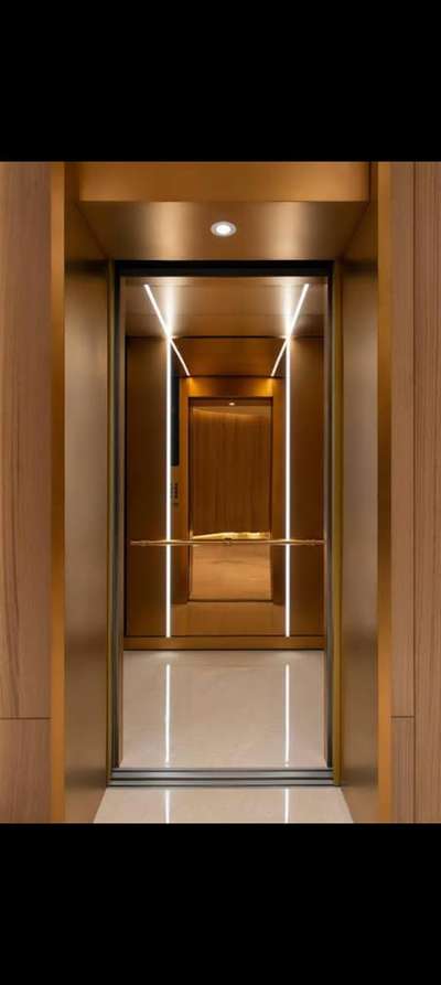 Rose gold finish lift cabine
DS elevator and escalator
9926661066
