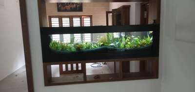 partition aquarium


#Marvelaquasystem #marvelaquarium #plantedaquariummalayalam #GreenAqua #Aquarium #Aquascaping #Aquascape #NatureAquarium #PlantedTankmalayalam #Aquariumplants #Aquaticplants #aquascapingshop #Aquascapeforbeginners #Aquascapinghowto #aquariums #paludarium #nano #homedesign #homedecor #landscape #relaxation #wabikusa #jurjis #georgefarmerchillujalakam #ada #oliverknot #serpaedesigns #mayurdev #aquascaper