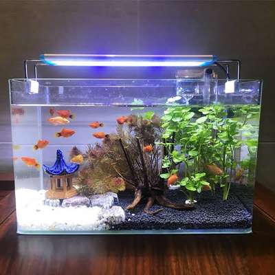 customersed aquarium available