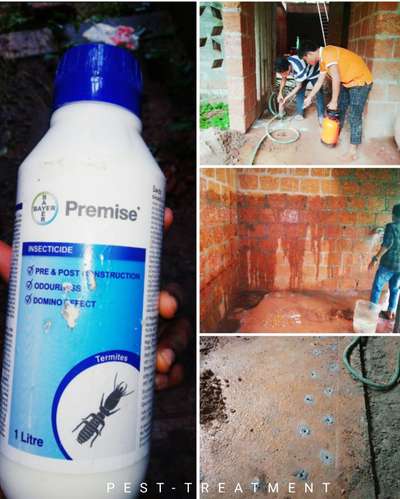 pest treatment