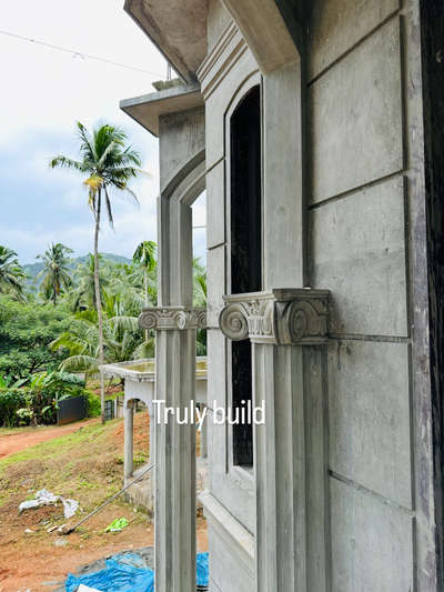 Truly build Plasterig design work