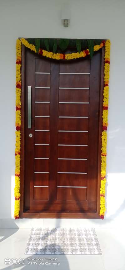 teak front door