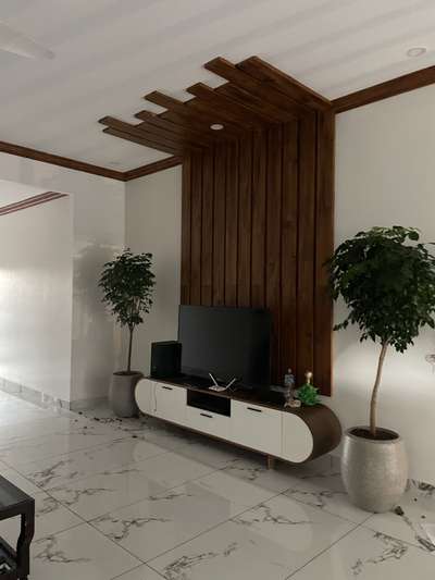 Curved tv unit used by flexible plywood. Back panelling done by using gypsum board and wooden finish painting #gypsumpartition #GypsumCeiling #Carpenter #carpentrywork #carpentrytvunits #homeinteriors