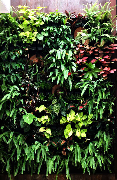 new vertical garden work                           #trendingdesign  #trendings  #VerticalGarden  #GardeningIdeas #trendingdesigns