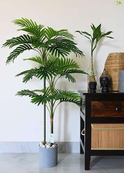 Artificial Areca Palm | 3 Stems Having 27 Leaves (110 CM Long) | with Basic Black Pot | Ornamental Plant for Interior Decor / Home Décor
for buy online link 
 https://amzn.to/3RKiUu5
for more information watch video
https://youtu.be/YDXLr4PUVL8