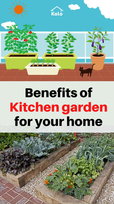 Grow your own herbs and vegetables in a kitchen garden.

Tap ➡️ to learn more about the benefits of a kitchen garden.

Let’s take a step towards a sustainable planet with our new series. 🙂

Learn tips, tricks and details on Home construction with Kolo Education 👍🏼

If our content has helped you, do tell us how in the comments ⤵️

Follow us on @koloeducation to learn more!!!


#education #architecture #construction  #building #exterior #design #home #interior #expert #sustainability #koloeducation #kitchen #garden #ecofriendly