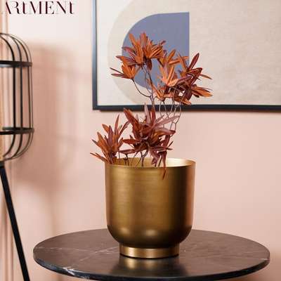 Artistic Golden Eden Planter

"Elevate your living space to new heights of sophistication and sustainability with this handcrafted, gold-hued saucer-shaped planter. Let it inspire growth and beauty in every aspect of your life."#theartment#findyourart#homedecor#interiordesign#homeinspo#homedesign#interiorstyling#homestyle#interiorinspo#decor#homedecoration#homemakeover#homerenovation#interiorandhome#interior4all#interiordecorating#homeinterior #planter #tableplanter #planterior #plantlover#decorshopping