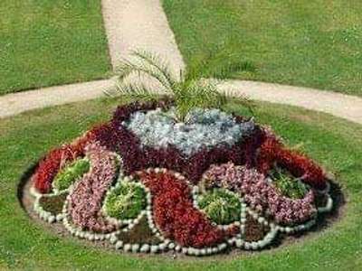 Beautiful gardening ideas...