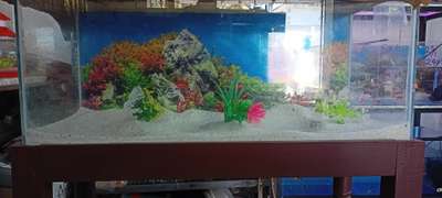 Aqurium full set, 2.5 ×1×1 [ Feet ] and Wooden Stand, White soil, background Image, flowers  #aquarium  #wall_aquarium #plantedaquariummalayalam #aquascaping