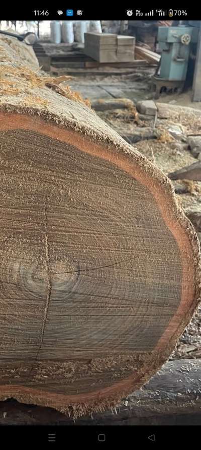 Teak Wood