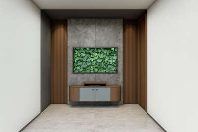 tv unit