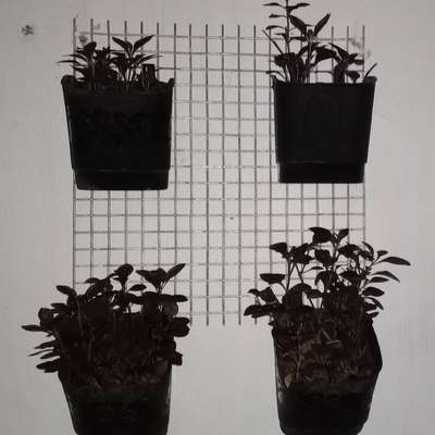 vertical plant set