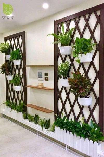 #IndoorPlants  #Architectural&Interior
