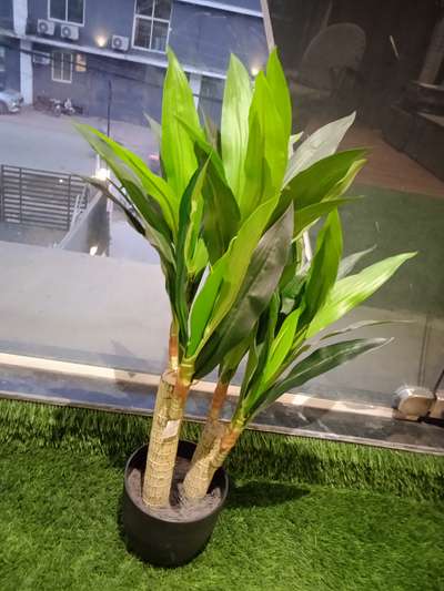 Artificial Plants🌴🌱
 #ARTIFICIALPLANTS 
#decorative 
#VerticalGarden