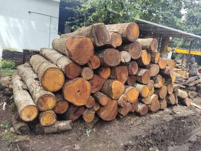 mahagony logs