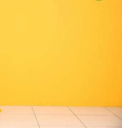 wall