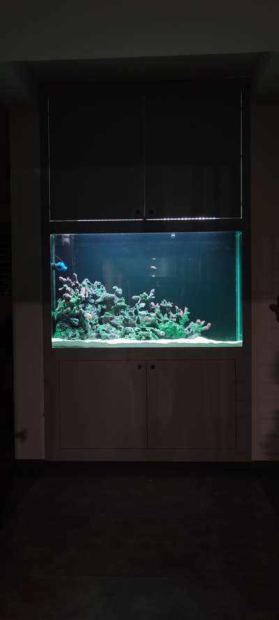 wall rob console aquarium  #aquarium #fishtank