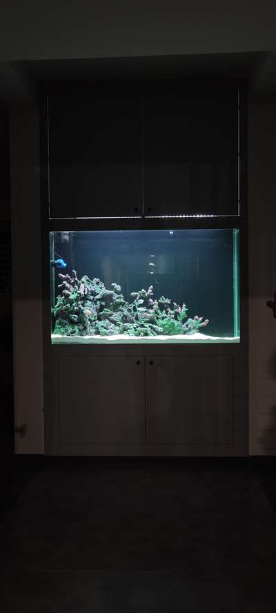 wall rob console aquarium  #aquarium #fishtank