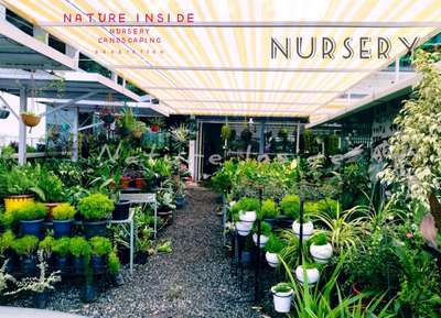 NATURE INSIDE
NURSERY & POTS
FISHES
ART DECOR
9446161144
 #nursery 
 #NURSERYPLANNER 
 #IndoorPlants 
 #plants 
 #plantslover 
 #planters 
 #plantstories 
 #plantaddict 
#plantedaquariummalayalam 
 #plantnursery 
 #fish 
 #parrot_fish 
 #aquarium 
 #aquaticplants 
 #aquascaping