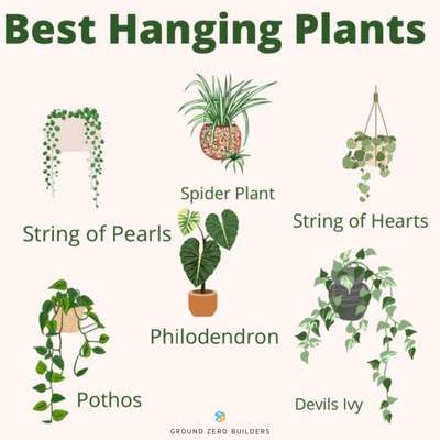 plants 🌳☘️