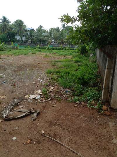 plot for urgent sale Thrissur cheroor 17 cent my number 9745242481