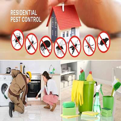 Suraj Pest Control pvt. ltd.

Pest control is the regulation or management of  a species defined as a pest, a member of the animal kingdom that impacts adversely on human activities

For More Details:- +91-7428553752

#pestcontrol #pestcontrolservice #pest #termitecontrol #pestmanagement #bugs #termites #insects #bedbugs #pests #pestcontrollife #rodentcontrol #covid #ants #antirayap #termite #rayap #exterminator #fumigation #rats #hunting #fogging #pestfree #mice #pestcontrolservices #mosquitocontrol #cleaning