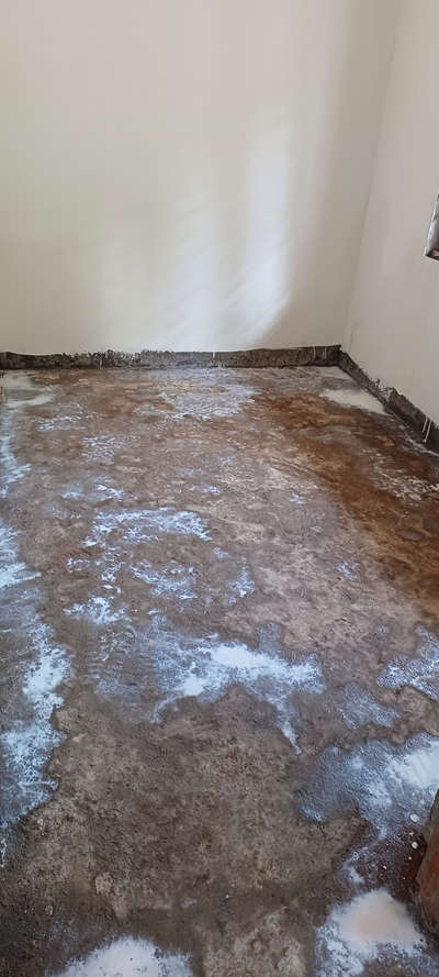 Anti termite treatment