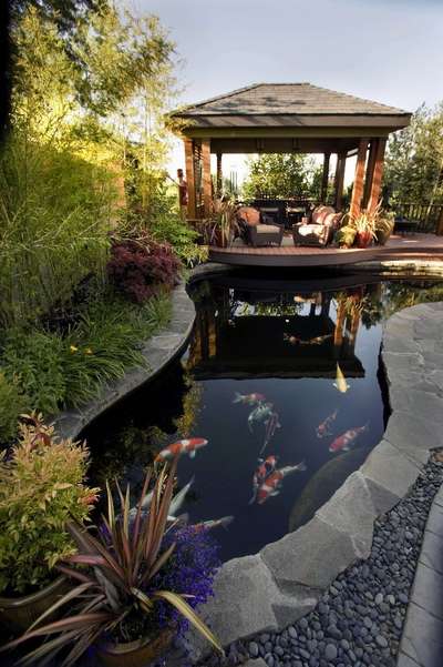Fish pond construction