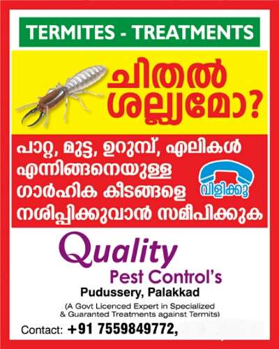 Quality Pest Control's
A Kerala Government Licensed Co.
Your Complete Pest Control Solution.
Experience of 10+years.
Contact :7559849772
#pestcontrol #Anti-Termite #treatment #Contractor #HouseConstruction #Construction