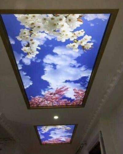 #3DCeiling