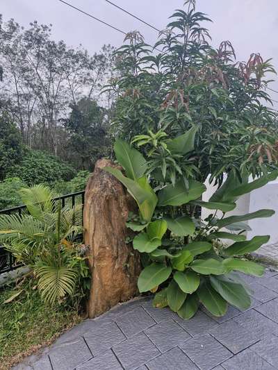 #LandscapeGarden  #GardeningIdeas