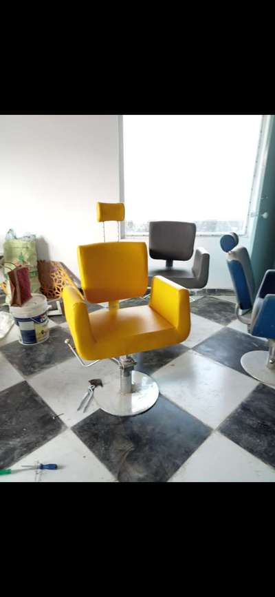 Salon Chair