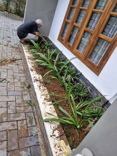 # #GardeningIdeas  #LandscapeIdeas